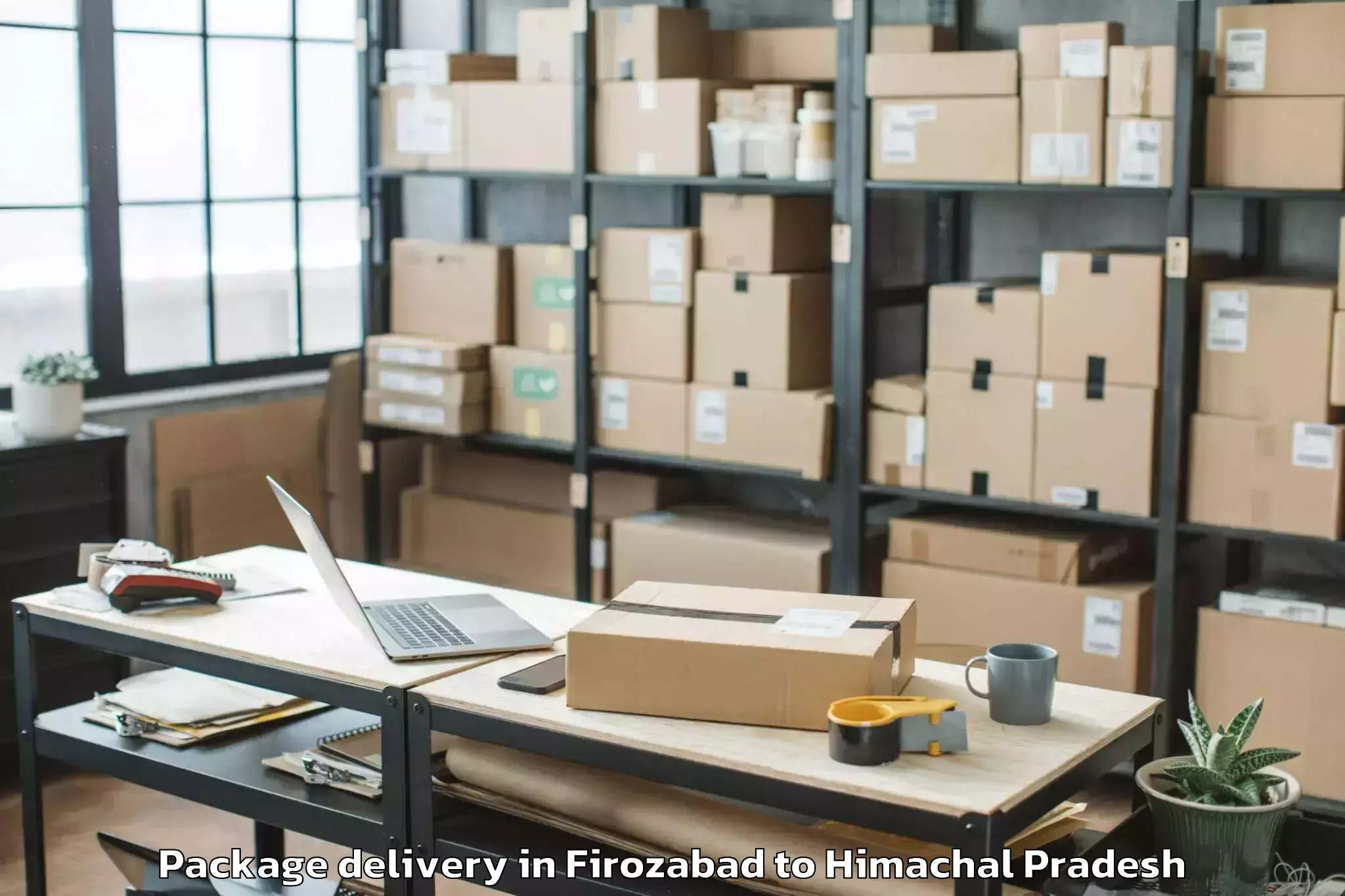 Professional Firozabad to Abhilashi University Baddi Package Delivery